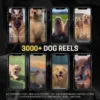 30,000+ Viral Faceless Reels to Monetize | PLR + MRR Pack - Image 4