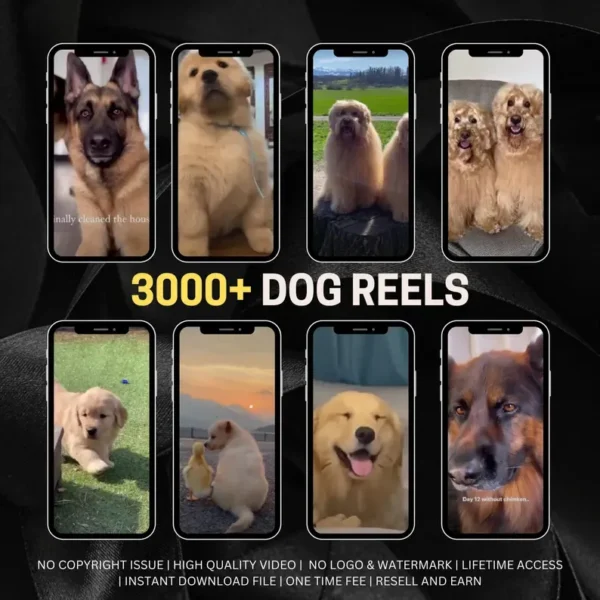 30,000+ Viral Faceless Reels to Monetize | PLR + MRR Pack - Image 4